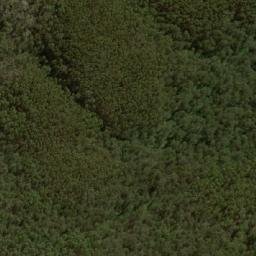 Satellite imagery of The Bald Peak, AU