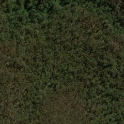 Satellite imagery of The Bald Peak, AU
