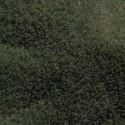 Satellite imagery of Bier Mountain, AU
