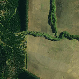 Satellite imagery of 982, NZ