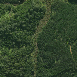 Satellite imagery of C (Tangihua SD), NZ