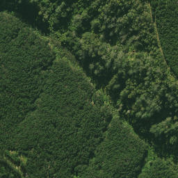 Satellite imagery of C (Tangihua SD), NZ
