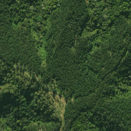 Satellite imagery of C (Tangihua SD), NZ