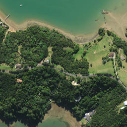 Satellite imagery of Martin Point, NZ