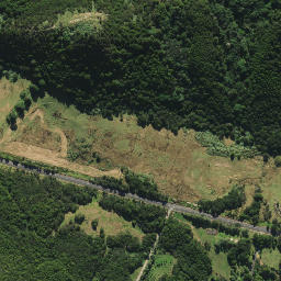 Satellite imagery of M (Whangarei SD), NZ