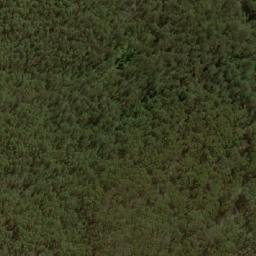 Satellite imagery of The Bald Peak, AU
