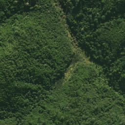 Satellite imagery of C (Tangihua SD), NZ