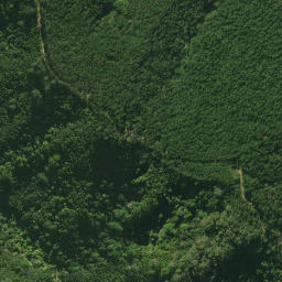 Satellite imagery of C (Tangihua SD), NZ