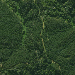 Satellite imagery of C (Tangihua SD), NZ