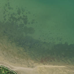 Satellite imagery of Manganese Point, NZ