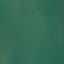Satellite imagery of Martin Point, NZ