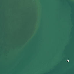 Satellite imagery of Martin Point, NZ