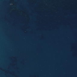 Satellite imagery of Awarua Rock, NZ