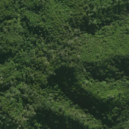 Satellite imagery of C (Tangihua SD), NZ