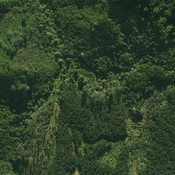 Satellite imagery of C (Tangihua SD), NZ