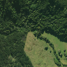 Satellite imagery of C (Tangihua SD), NZ