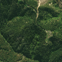 Satellite imagery of 2411, NZ