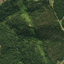 Satellite imagery of 2411, NZ