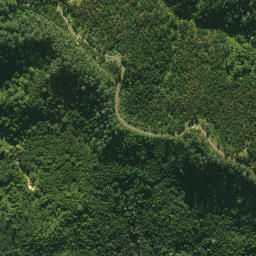 Satellite imagery of 2411, NZ