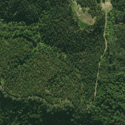 Satellite imagery of 2411, NZ