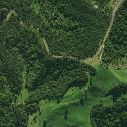 Satellite imagery of 2411, NZ