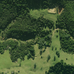 Satellite imagery of 2411, NZ
