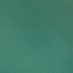 Satellite imagery of BN S1, NZ