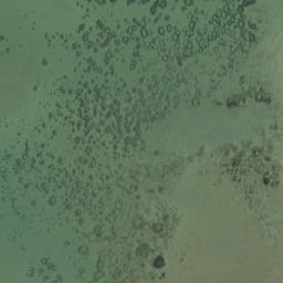 Satellite imagery of BN S1, NZ