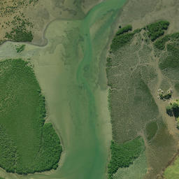 Satellite imagery of Mangawhati Point, NZ