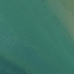Satellite imagery of BN S1, NZ