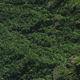Satellite imagery of 44I MANAIA, NZ