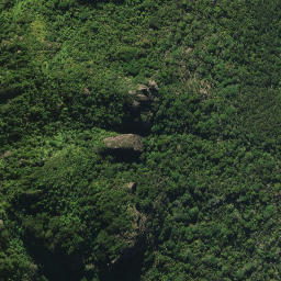 Satellite imagery of 44I MANAIA, NZ