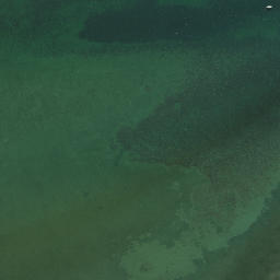 Satellite imagery of One Tree Point, NZ