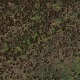 Satellite imagery of Pilot Reef Mountain, AU