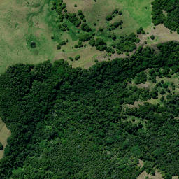 Satellite imagery of 37 PUKEWHARARIKI, NZ
