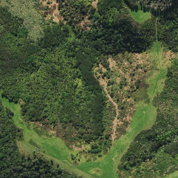 Satellite imagery of 2431, NZ