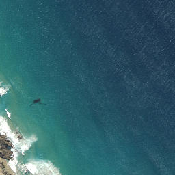Satellite imagery of 2432, NZ