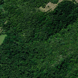 Satellite imagery of 37 PUKEWHARARIKI, NZ