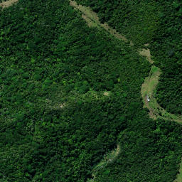 Satellite imagery of 37 PUKEWHARARIKI, NZ