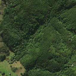 Satellite imagery of 42 I PAKAUHOKIO, NZ