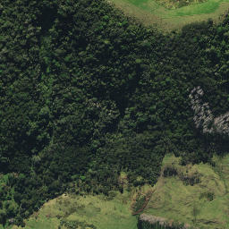 Satellite imagery of 2431, NZ