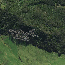 Satellite imagery of 2431, NZ