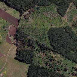 Satellite imagery of Punta Amarilla, CL