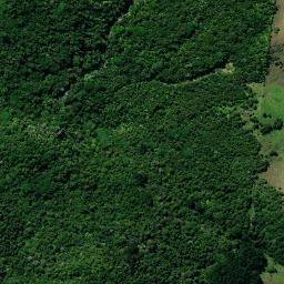 Satellite imagery of 37 PUKEWHARARIKI, NZ