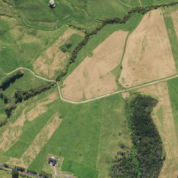 Satellite imagery of 2431, NZ