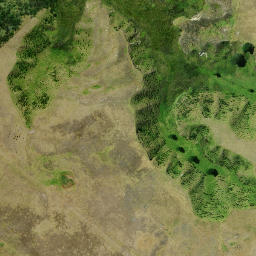 Satellite imagery of 2 NO 2, NZ