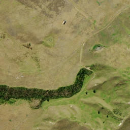 Satellite imagery of 2 NO 2, NZ