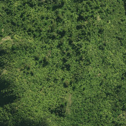 Satellite imagery of 41 TANGIHUA, NZ