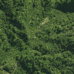 Satellite imagery of 41 TANGIHUA, NZ