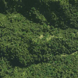 Satellite imagery of 41 TANGIHUA, NZ